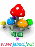 Jamur 3